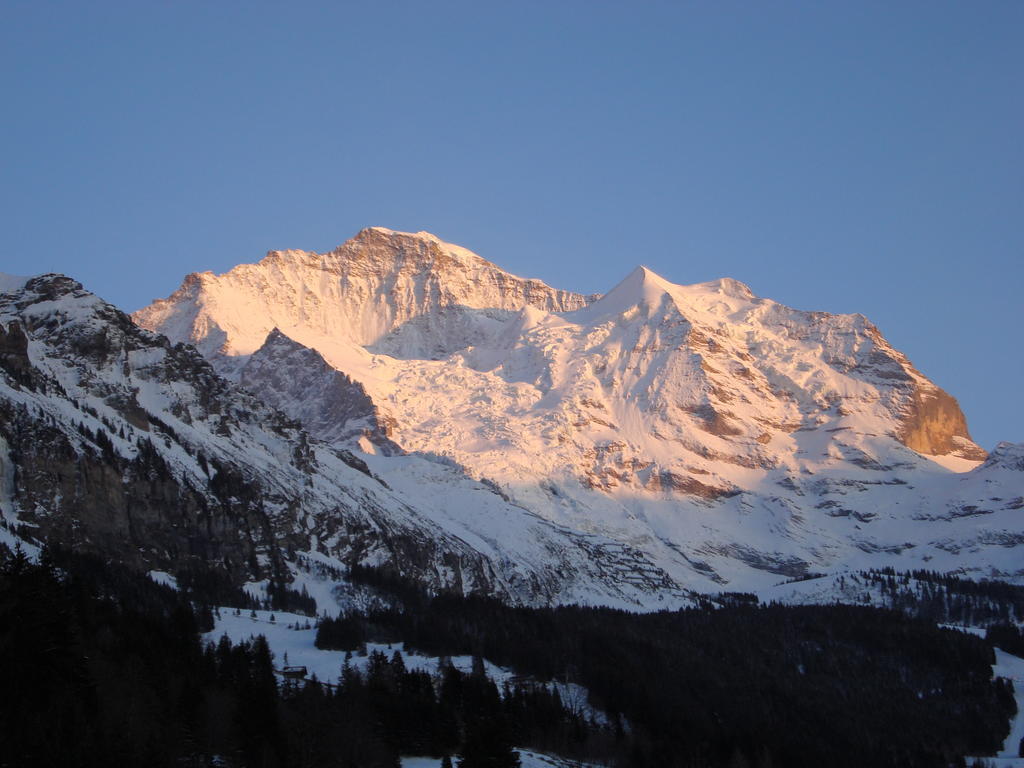 Hotel Berghaus Wengen Exterior foto